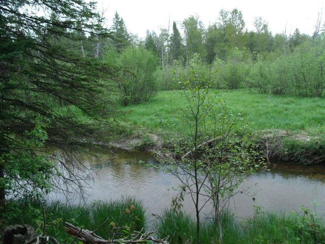 Spikehorn Trail, Parcel 18, Indian River, MI 49749