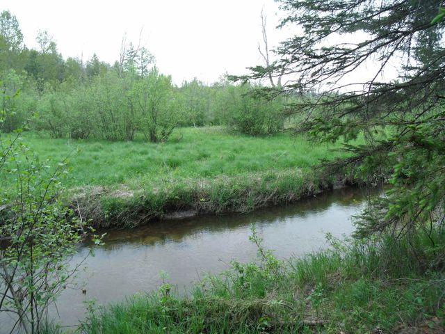 Spikehorn Trail, Parcel 18, Indian River, MI 49749