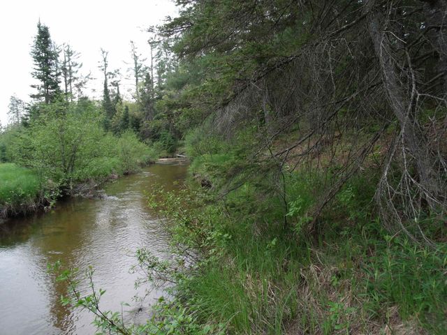 Spikehorn Trail, Parcel 18, Indian River, MI 49749