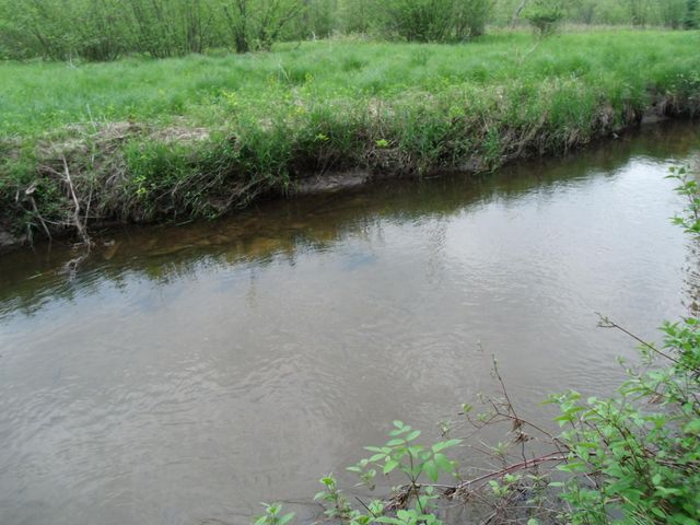 Spikehorn Trail, Parcel 18, Indian River, MI 49749