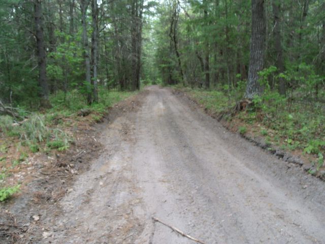 Spikehorn Trail, Parcel 18, Indian River, MI 49749