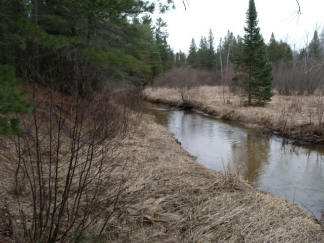 Spikehorn Trail, Parcel 18, Indian River, MI 49749