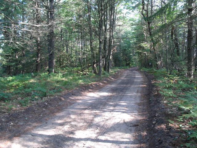 Spikehorn Trail, Parcel 18, Indian River, MI 49749