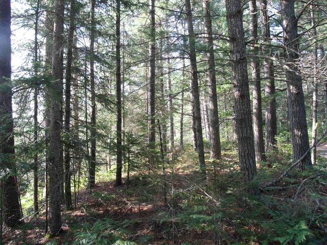 Spikehorn Trail, Parcel 18, Indian River, MI 49749