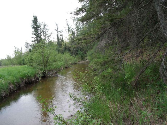 Spikehorn Trail, Parcel 18, Indian River, MI 49749