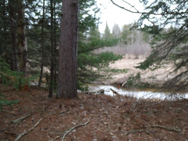Spikehorn Trail, Parcel 18, Indian River, MI 49749