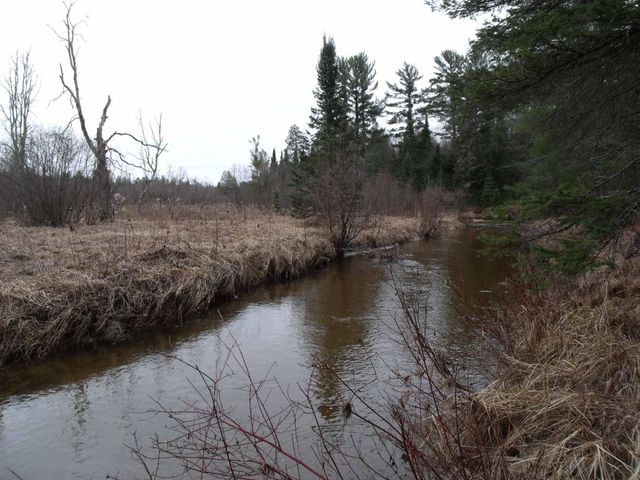 Spikehorn Trail, Parcel 18, Indian River, MI 49749