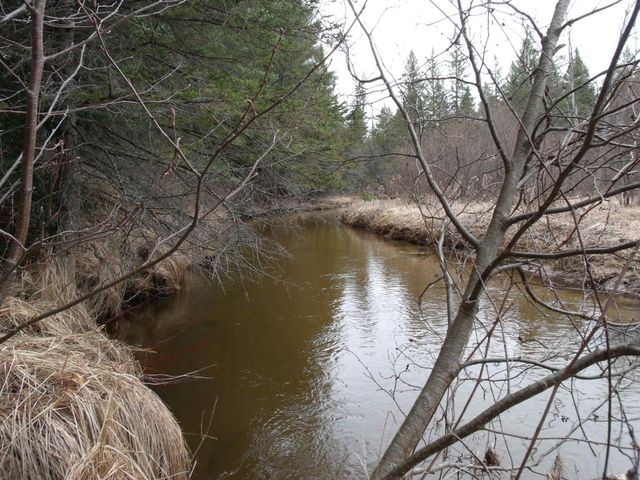 Spikehorn Trail, Parcel 18, Indian River, MI 49749