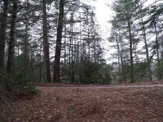 Spikehorn Trail, Parcel 18, Indian River, MI 49749