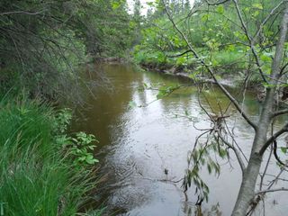 Spikehorn Trail, Parcel 18, Indian River, MI 49749