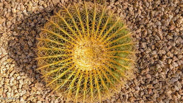 4248 E DESERT SKY Court, Cave Creek, AZ 85331