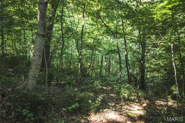 000 Stahl Drive, Crystal City, MO 63019