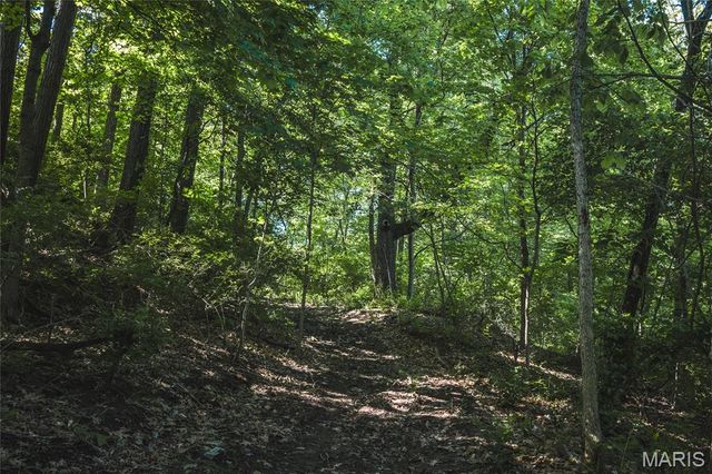 000 Stahl Drive, Crystal City, MO 63019