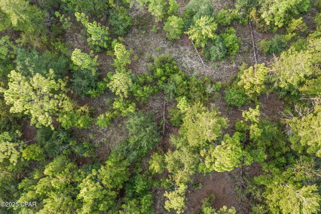 XXX Shenandoah Boulevard, Chipley, FL 32428