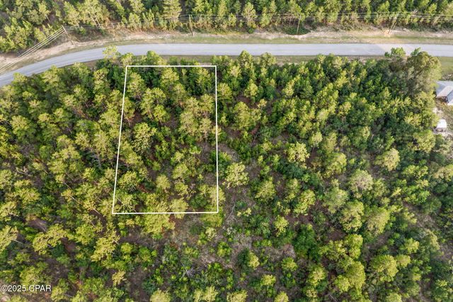 XXX Shenandoah Boulevard, Chipley, FL 32428