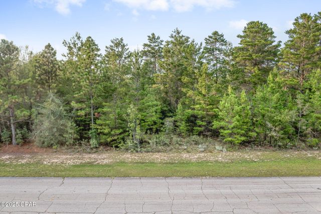 XXX Shenandoah Boulevard, Chipley, FL 32428