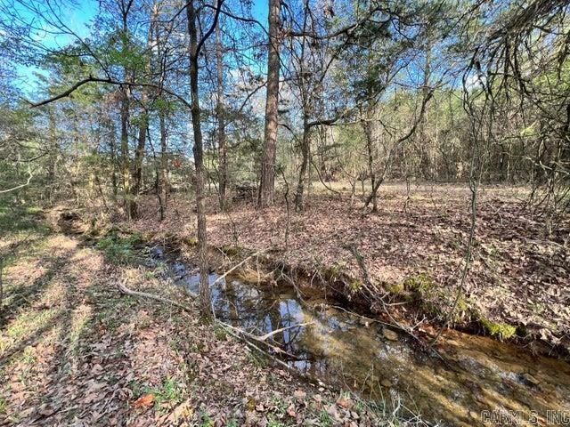 1174 County Road 3335, Clarksville, AR 72830