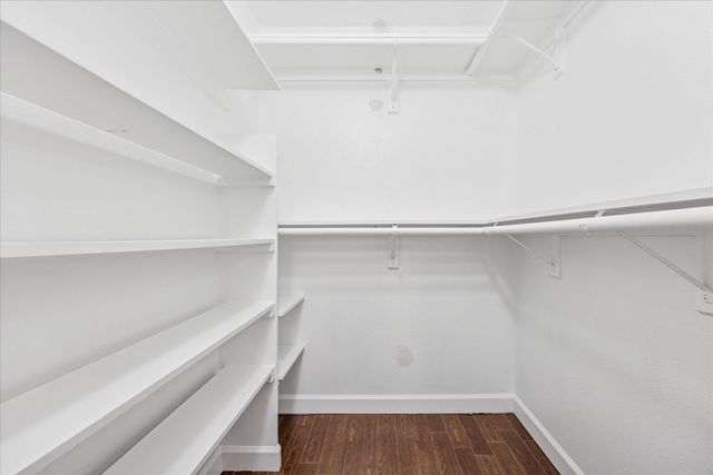 11506 Ruffed Grouse DR, Austin, TX 78758