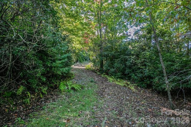 TBD Rock Face Road L298, Brevard, NC 28712