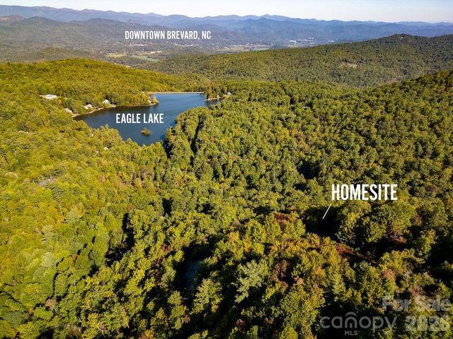 TBD Rock Face Road L298, Brevard, NC 28712