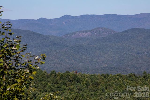 TBD Rock Face Road L298, Brevard, NC 28712
