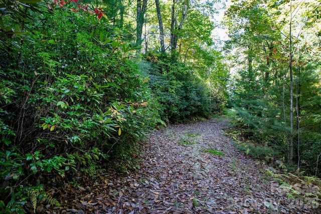 TBD Rock Face Road L298, Brevard, NC 28712