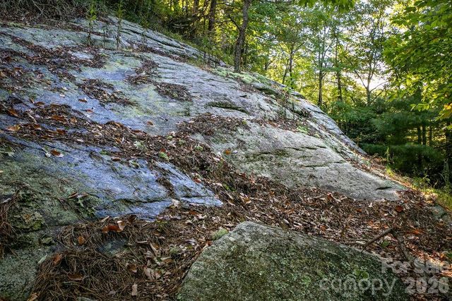 TBD Rock Face Road L298, Brevard, NC 28712