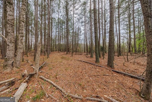 13585 Arnold Mill Road, Milton, GA 30075