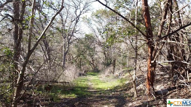 540 Kinsolving Road, Belton, TX 76513