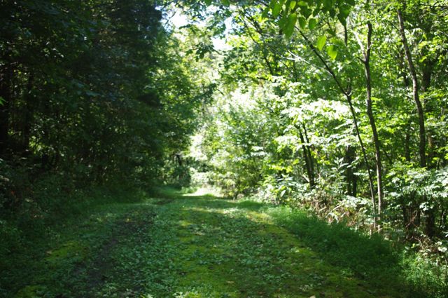 268 Ben Gentry Ln, Elmwood, TN 38560