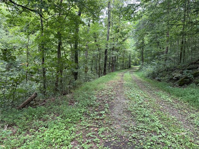 268 Ben Gentry Ln, Elmwood, TN 38560