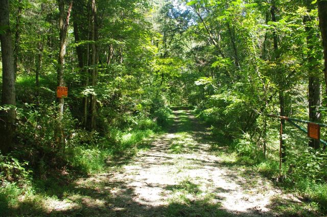 268 Ben Gentry Ln, Elmwood, TN 38560