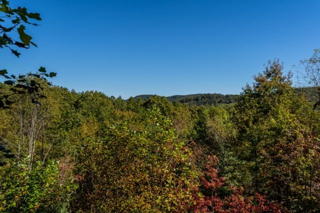 85 Foster Cove Road, Blue Ridge, GA 30513