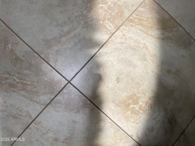 1306 W Chesapeake Drive, Apache Junction, AZ 85119