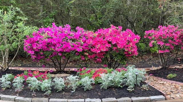 10 Riata Drive, Magnolia, TX 77354