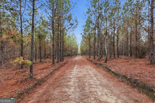 120 Saint Galilee Road, Midville, GA 30441