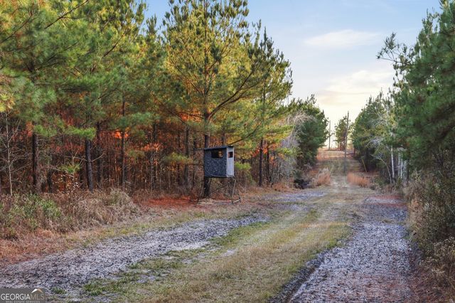 120 Saint Galilee Road, Midville, GA 30441