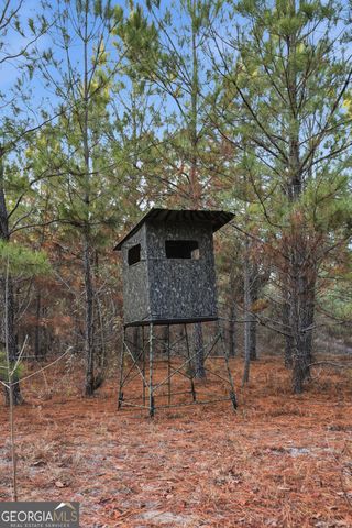 120 Saint Galilee Road, Midville, GA 30441