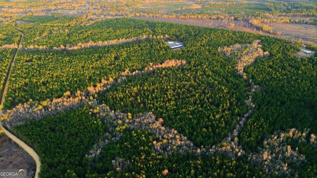 120 Saint Galilee Road, Midville, GA 30441