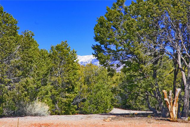 300 Brownell Howland, Santa Fe, NM 87501