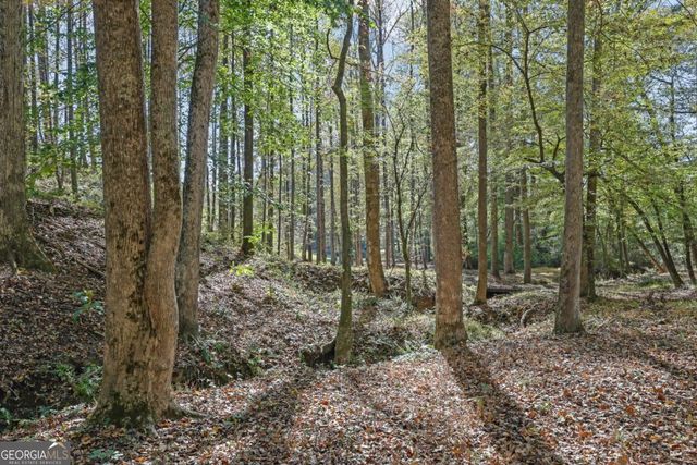 2325 Mountain Road, Alpharetta, GA 30004