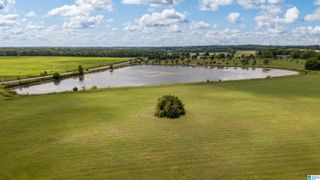 71 ELNORA DRIVE, Uniontown, AL 36786