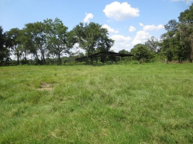 143 Piney Woods Road, Trinity, TX 75862