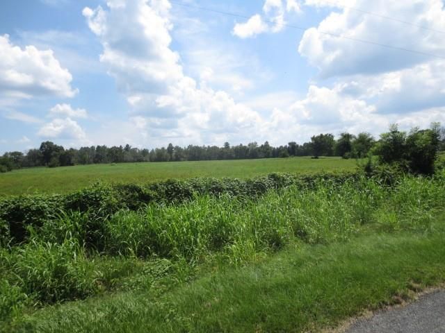 143 Piney Woods Road, Trinity, TX 75862