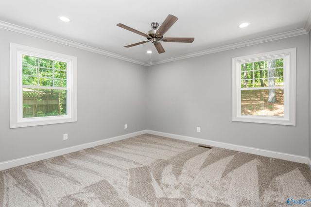 2810 Mountain View Drive, Southside, AL 35907