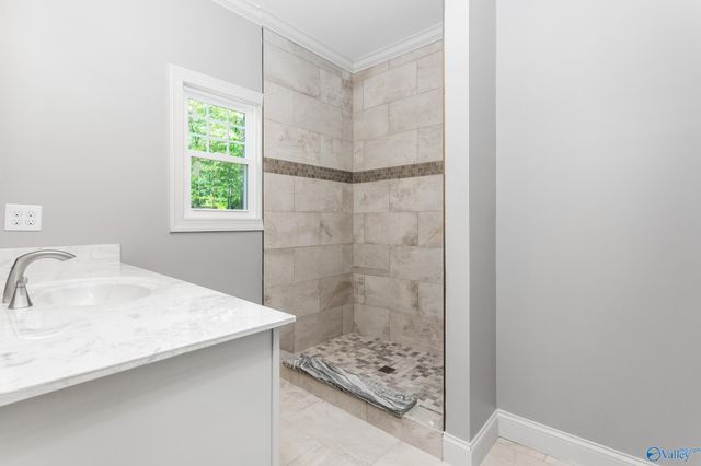 2810 Mountain View Drive, Southside, AL 35907