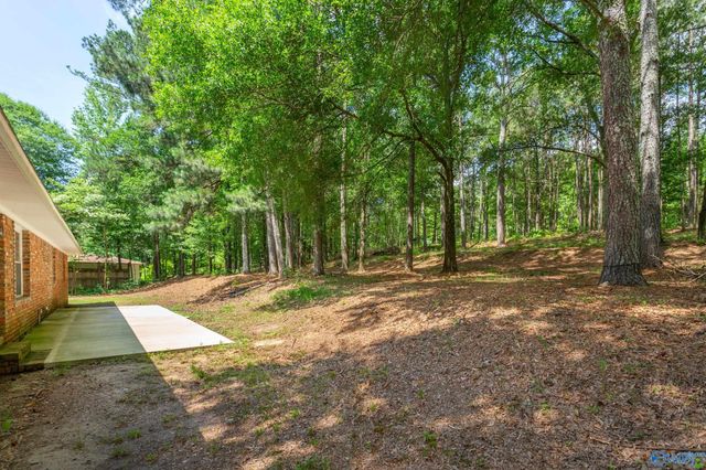 2810 Mountain View Drive, Southside, AL 35907
