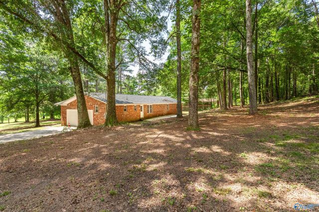 2810 Mountain View Drive, Southside, AL 35907