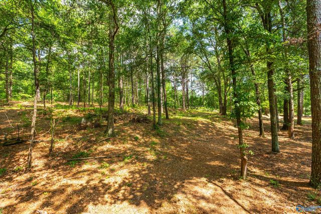 2810 Mountain View Drive, Southside, AL 35907