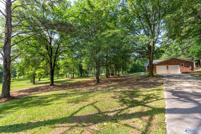 2810 Mountain View Drive, Southside, AL 35907